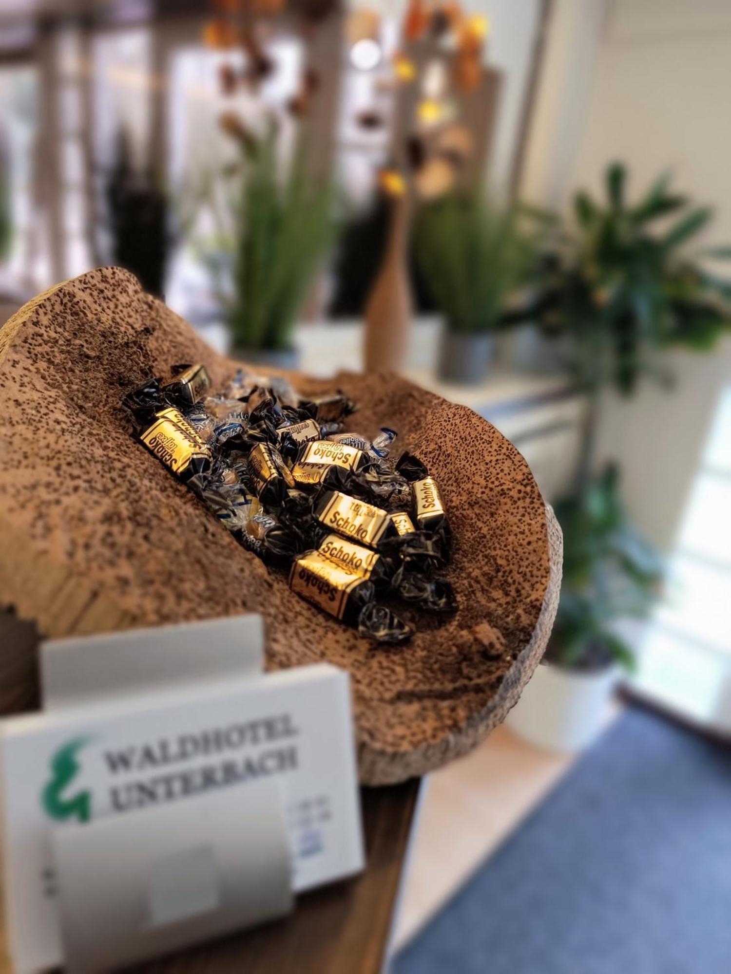Waldhotel Unterbach Ντίσελντορφ Εξωτερικό φωτογραφία